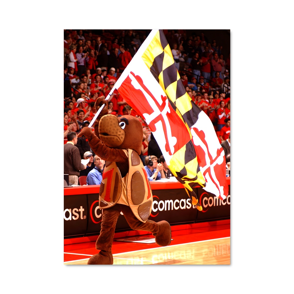 Poster Terps Dunk – affiche Basketball
